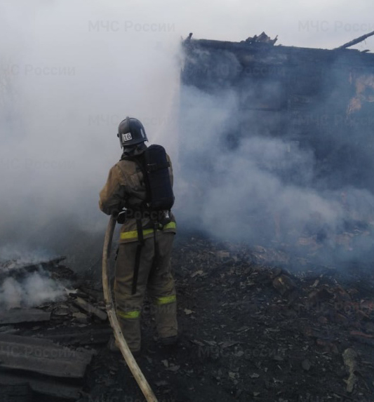 В Новозыбковском районе тушили большой пожар