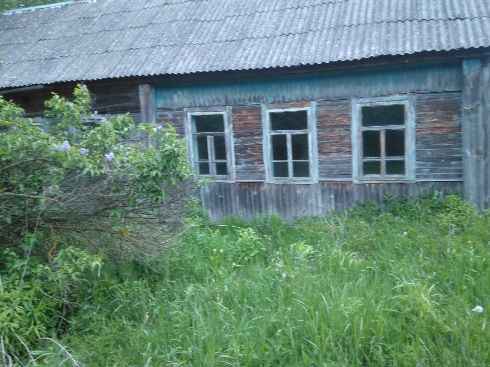 Заброшенные дома становятся угрозой в Брянской области
