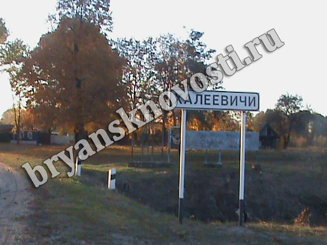 Новозыбковские села с чернобыльским статусом оказались беззащитны перед пожарами
