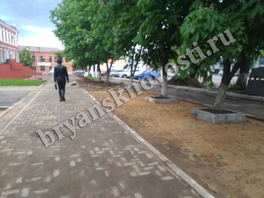 Новозыбков в оперативных цифрах