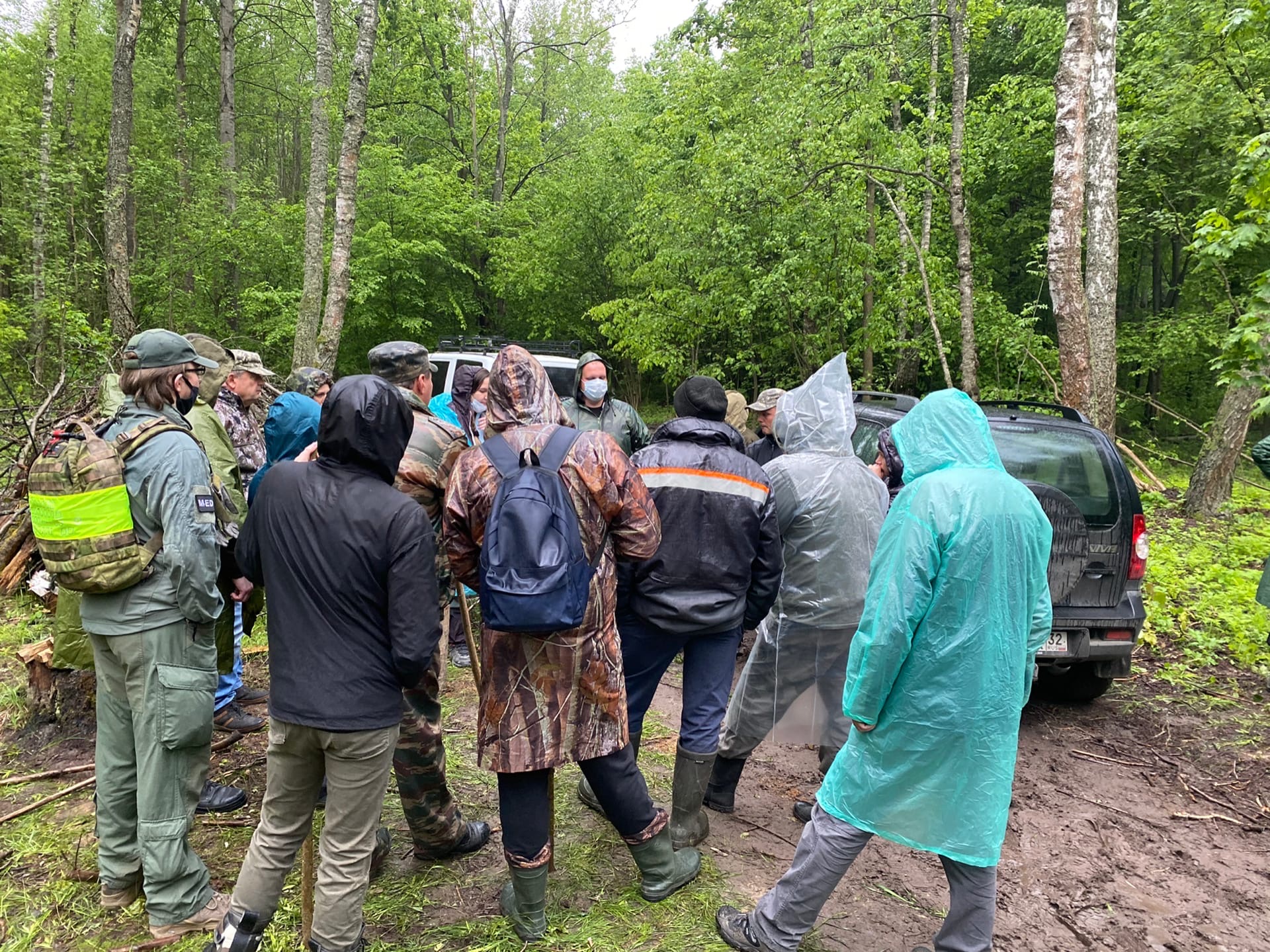 Более 30 человек ищут в климовском лесу пропавшего грибника
