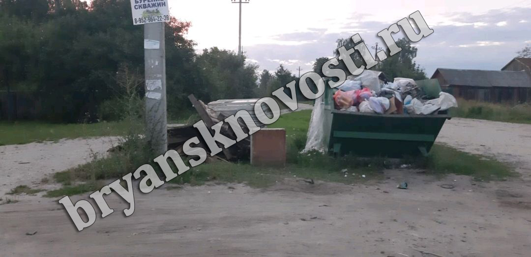В Новозыбкове у бункера на улице Коммунистической растет мусорный мини-полигон