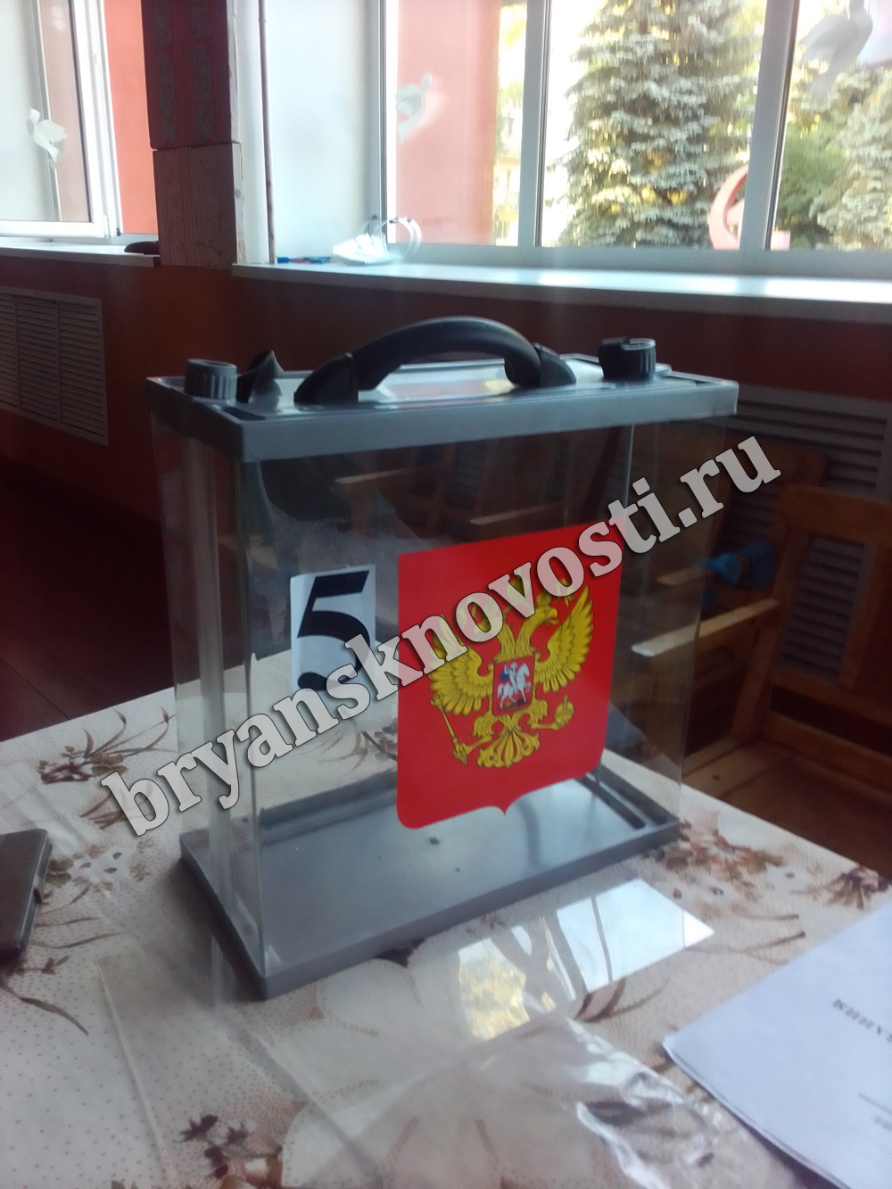 В сёлах и деревнях Новозыбковского округа большинство проголосовали к 1 июля по поправкам в Конституцию