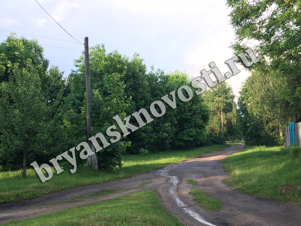 В Новозыбковском округе жители трех сел два часа оставались без света