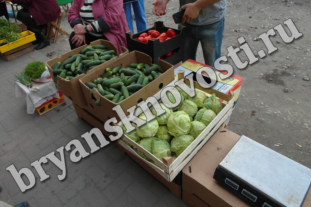 Велком, фермеры. В Новозыбкове открывают овощные базары