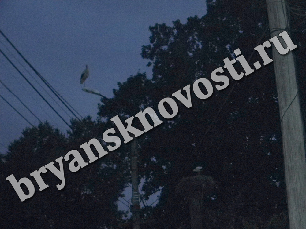 «Приходится добираться на ощупь». Темнота на улице в Новозыбкове пугает детей