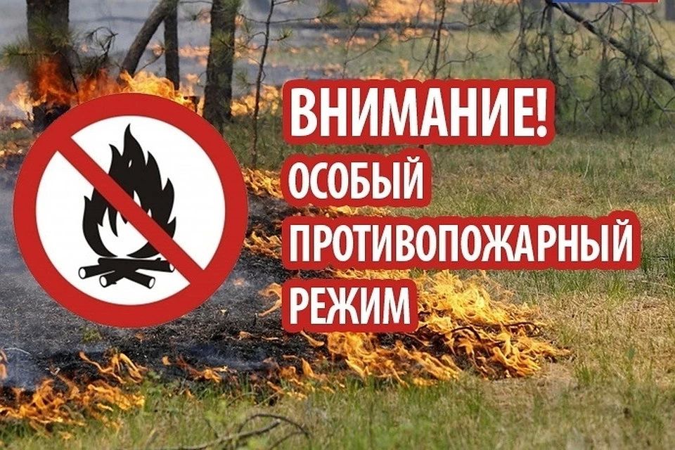 В лесах Брянской области введен особый противопожарный режим