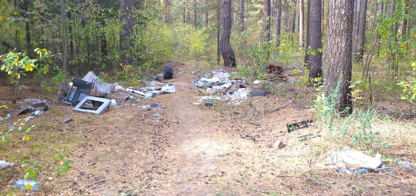 Лес под Новозыбковом не спасают от мусора повсеместно установленные контейнеры