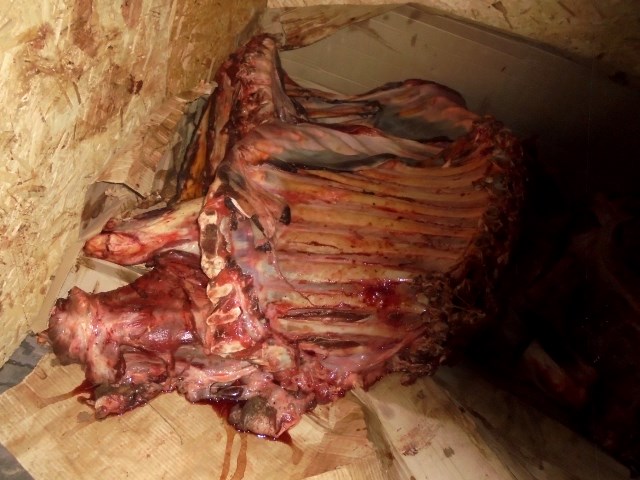 Более полутора тонн мяса из Беларуси нелегально завезли в Брянскую область