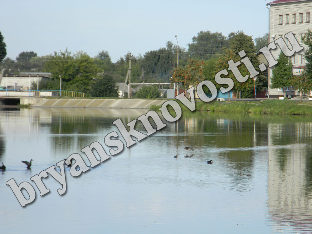 Какая вода течет из кранов в Новозыбкове, горожане могут рассказать прокурору