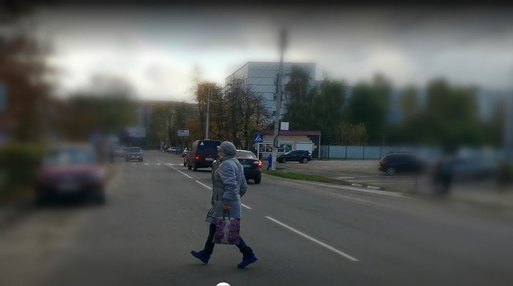 ДПС побоку. «Бесстрашные» пешеходы Новозыбкова стали героями занятных роликов (ВИДЕО)