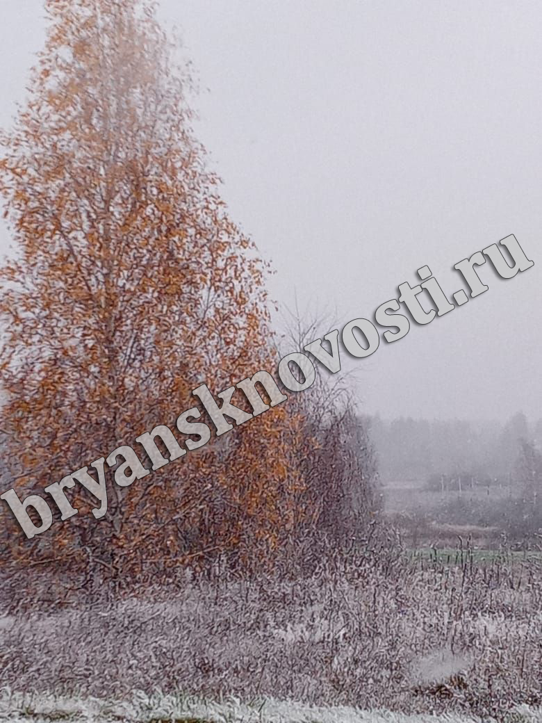 В Новозыбкове и округе пошел первый снег (ФОТОРЕП)