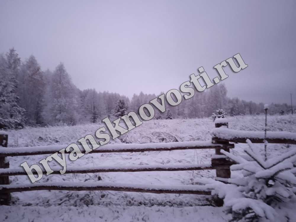 24 ноября на территории Брянской области днем мокрый снег с дождем, ночью местами налипание мокрого снега