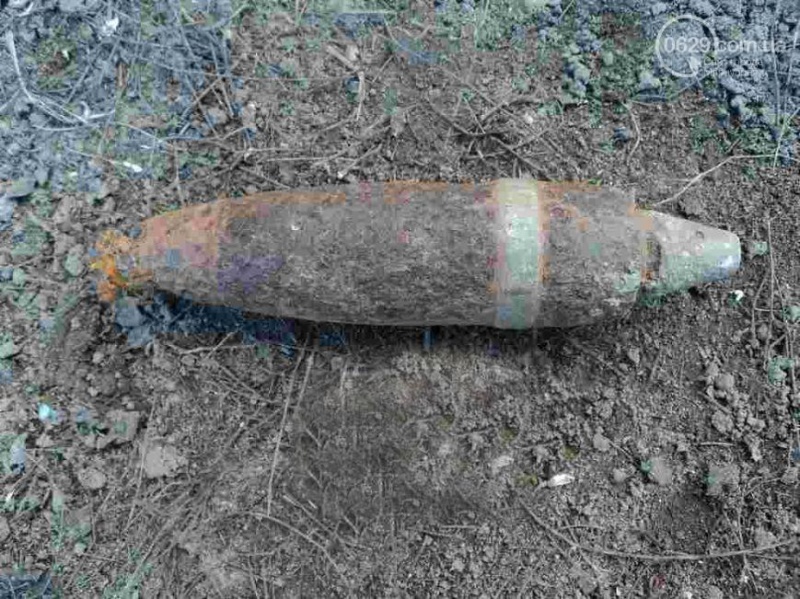 Под Новозыбковом женщина нашла минометную мину