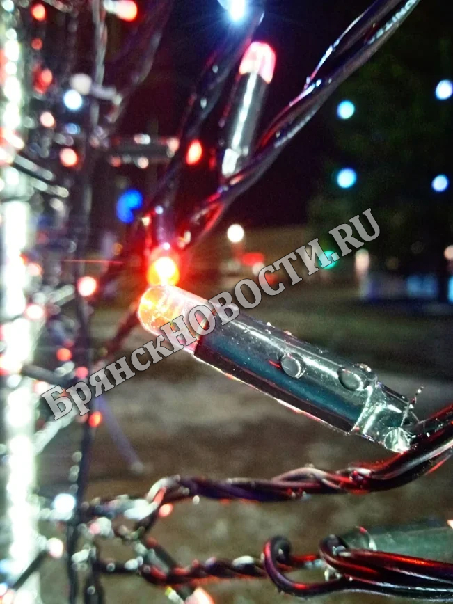 Можно Ли В Новогоднюю