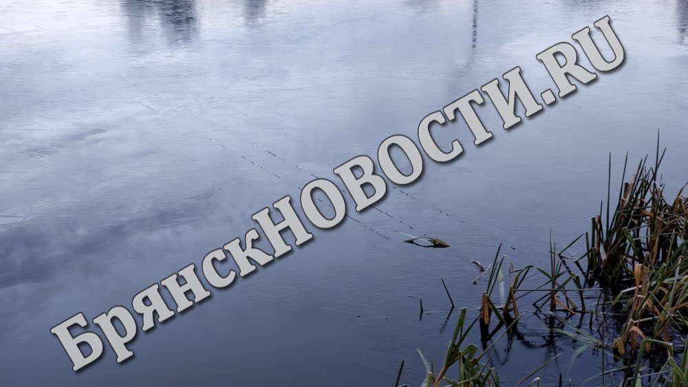 Озёра в Дятьковском районе промёрзли сильнее всех в Брянской области