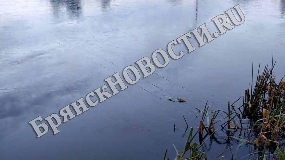Сильнее всех в Брянской области промёрзло озеро Ржавок в Почепском районе