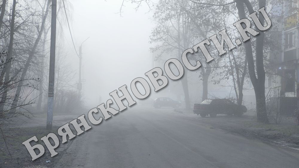 Новозыбков внезапно погрузился в густой туман (ФОТОРЕП)