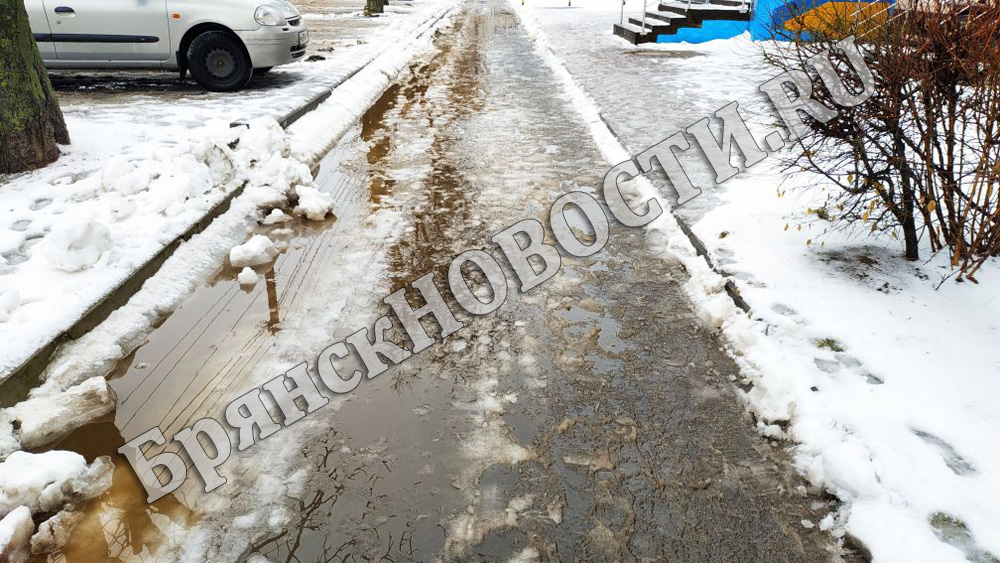 В Новозыбковском округе пожаловались на плохую уборку дорог