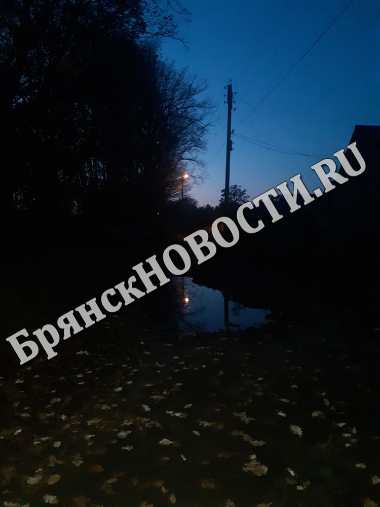 Темные улицы Новозыбкова просят света
