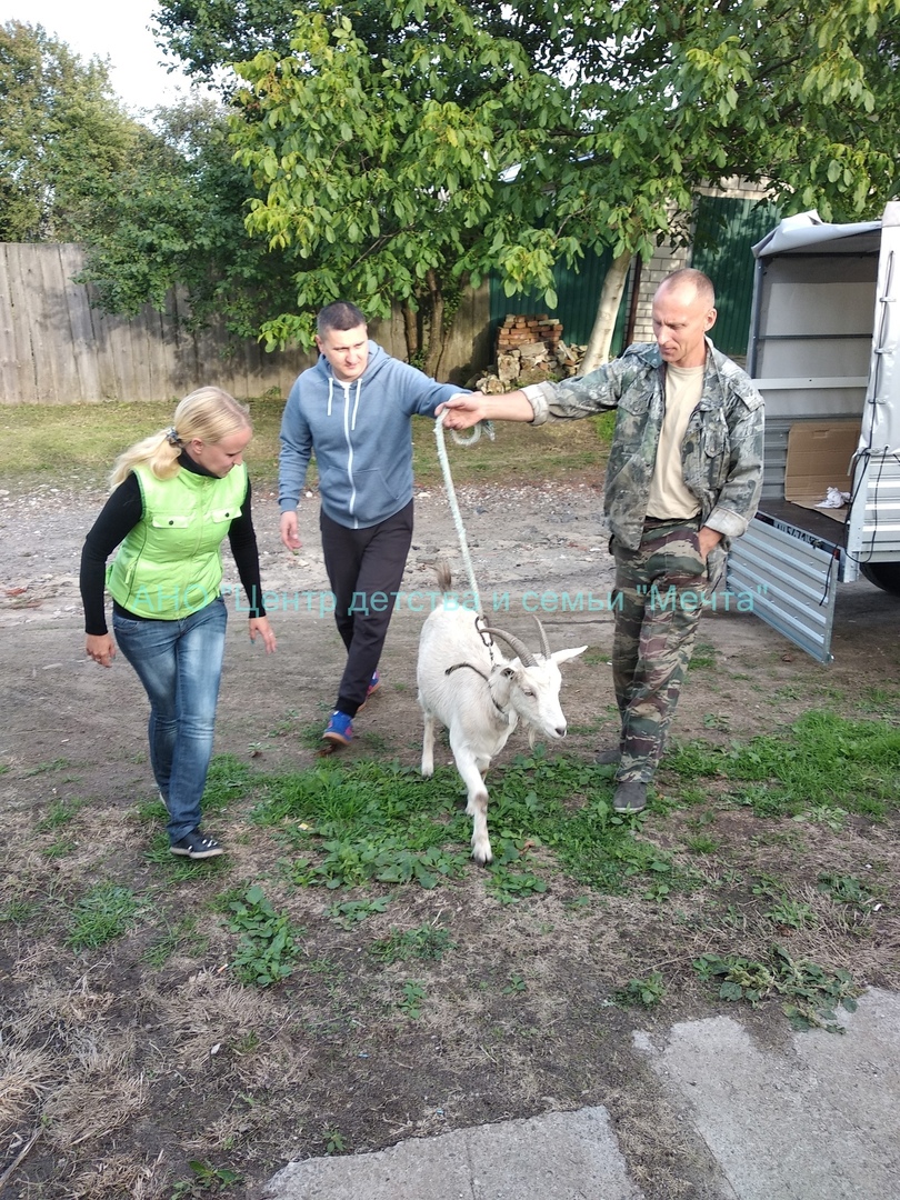 Как в Новозыбковском округе «коз водили»