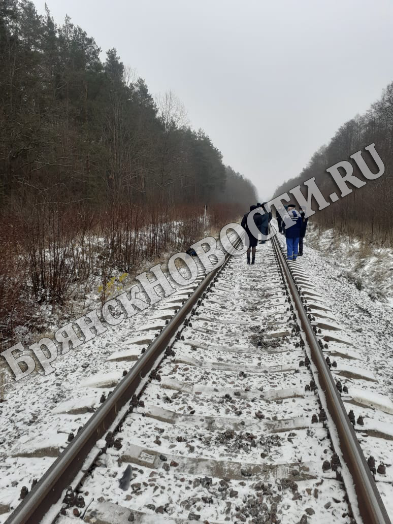 В Новозыбкове поезд «Москва –Климово» сбил мужчину (ФОТОРЕП)