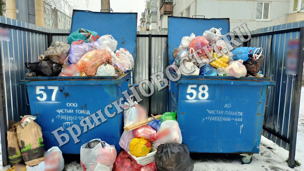 Переполненные контейнеры и разбросанный мусор в Новозыбкове стали последствием гололёда