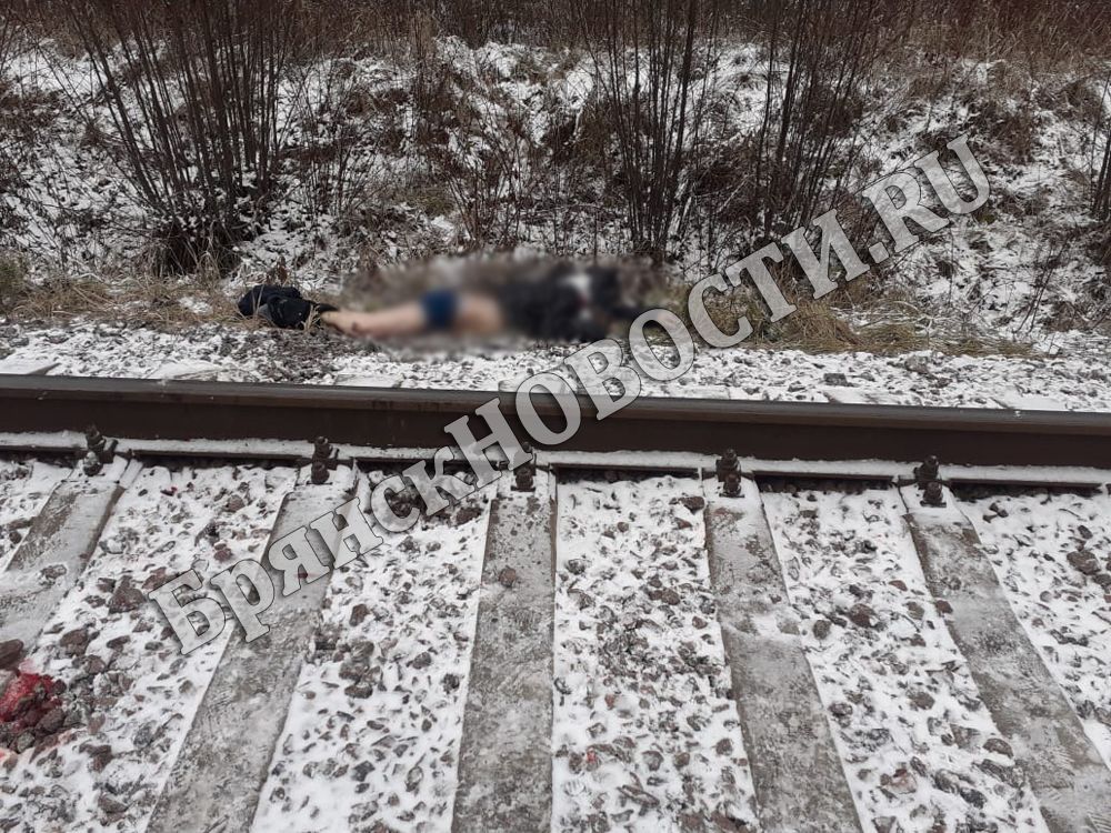 Медики скорой помощи констатировали смерть попавшего под поезд в Новозыбкове