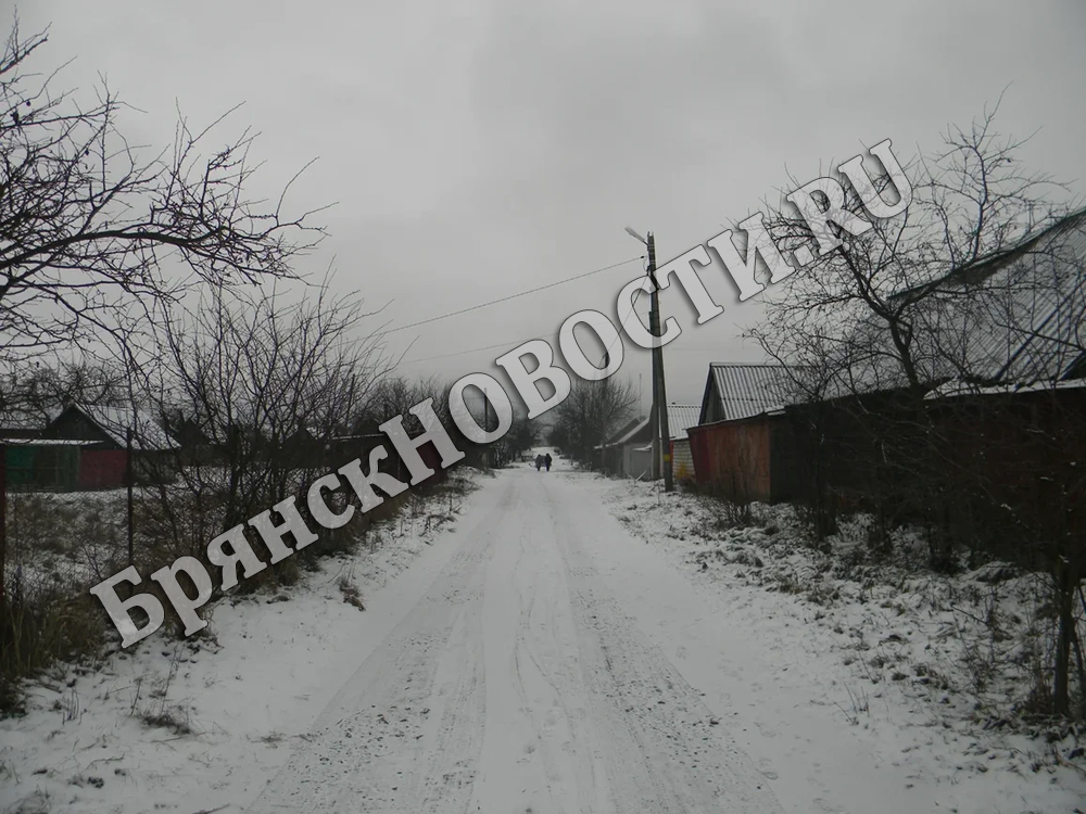 Коммунальщики в Новозыбкове трудятся в мороз на улице