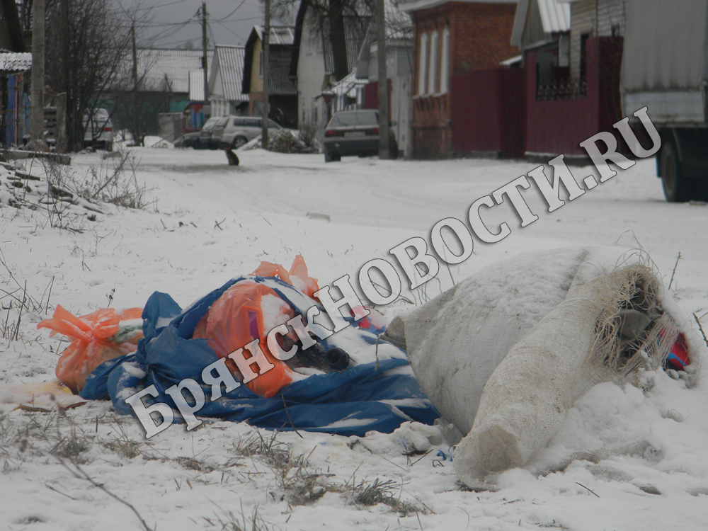 В Новозыбкове “чистюли” с Наримановской вынесли мусор ещё в пятницу