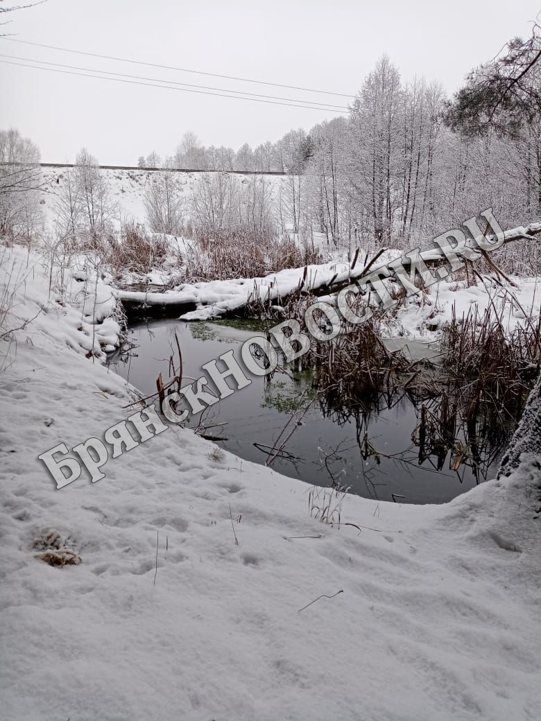 16 января на территории Брянской области небольшой снег, до минус 25ºC
