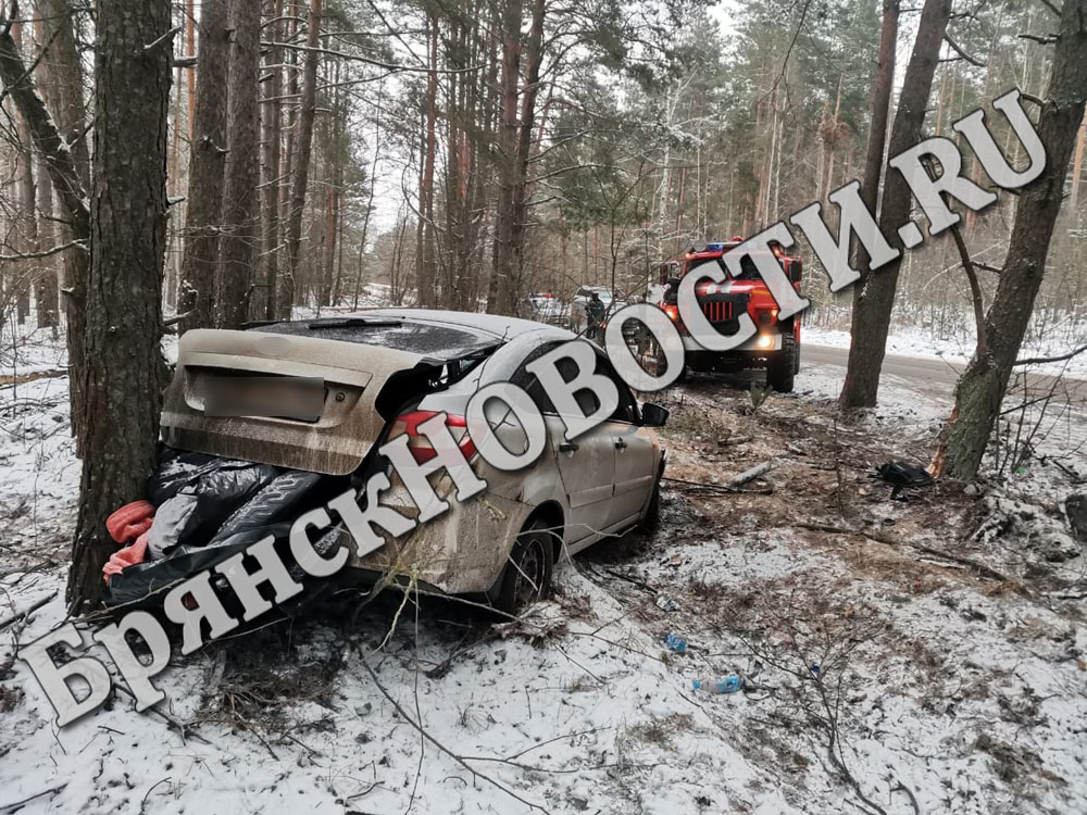 Стало известно о характере травм водителя после аварии под Новозыбковом