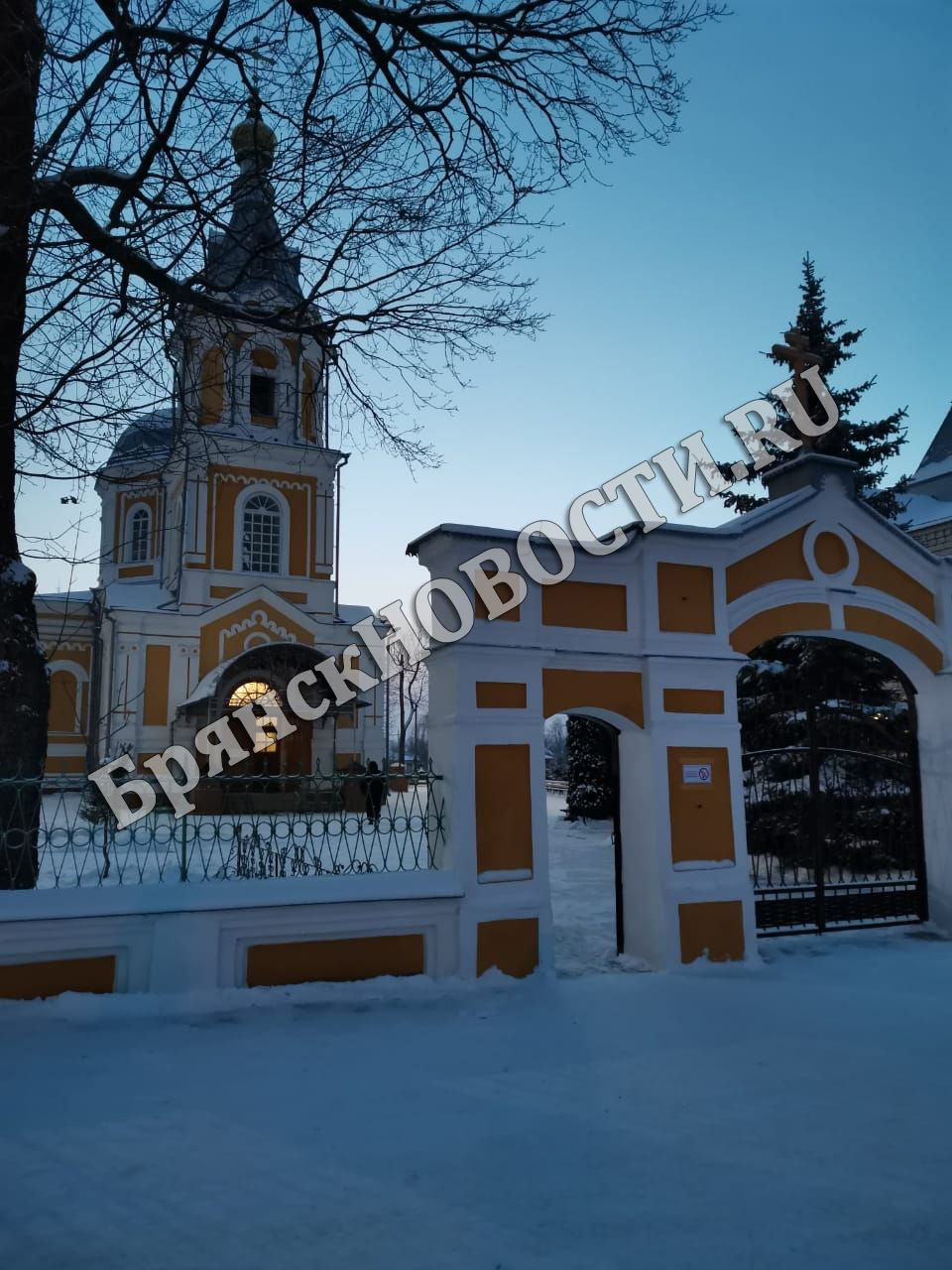 Сказочной красоты крещенские фотографии из Новозыбкова