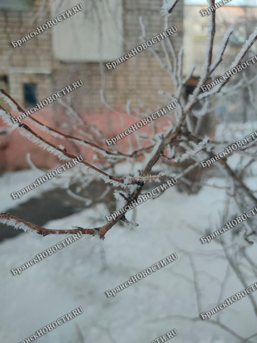Последний день января будет снежным и с перепадами температур в Брянской области