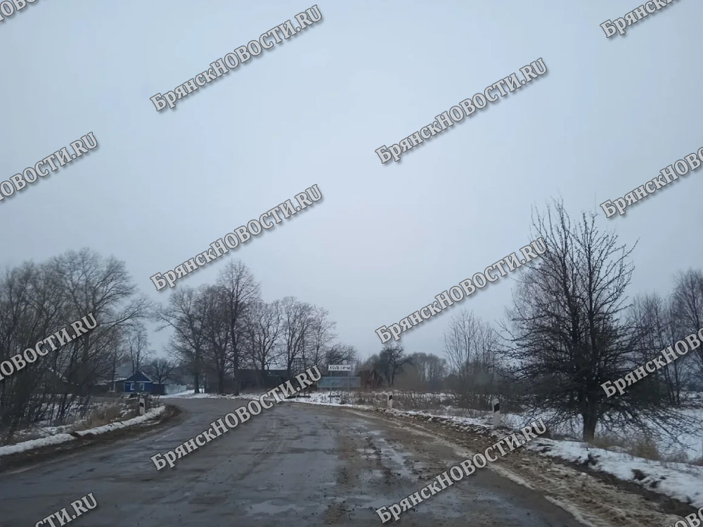 Сильные порывы ветра со снегопадом стали причиной отключения электроэнергии в Новозыбкове