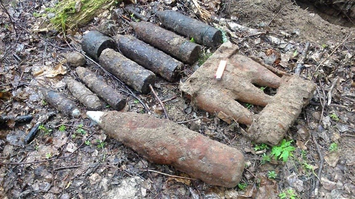 За год в Брянской области обезврежено свыше 110 боеприпасов