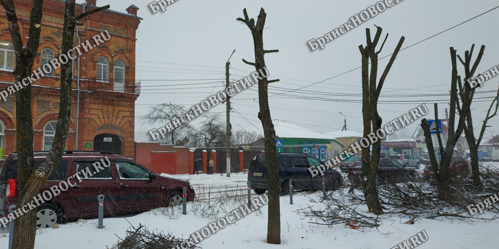 Снежные завалы минувшей ночью разбирали на улице Красной в Новозыбкове