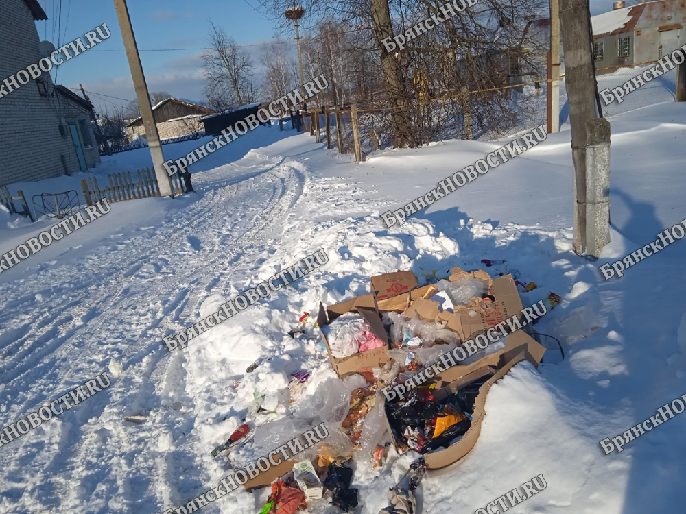 В селе под Новозыбковом не вывезли мусор после снегопада