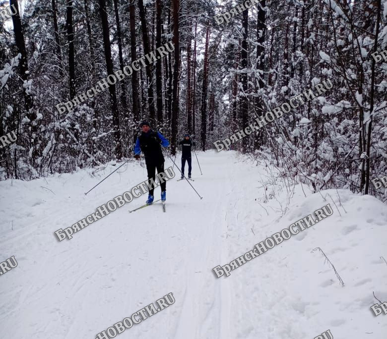 В Новозыбкове назвали имена победителей больших лыжных соревнований