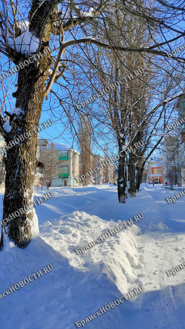 16 февраля на территории Брянской области переменная облачность, ночью до 30 градусов мороза
