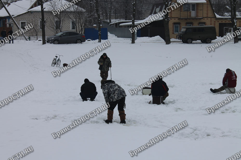 Озеро брус стародубский район