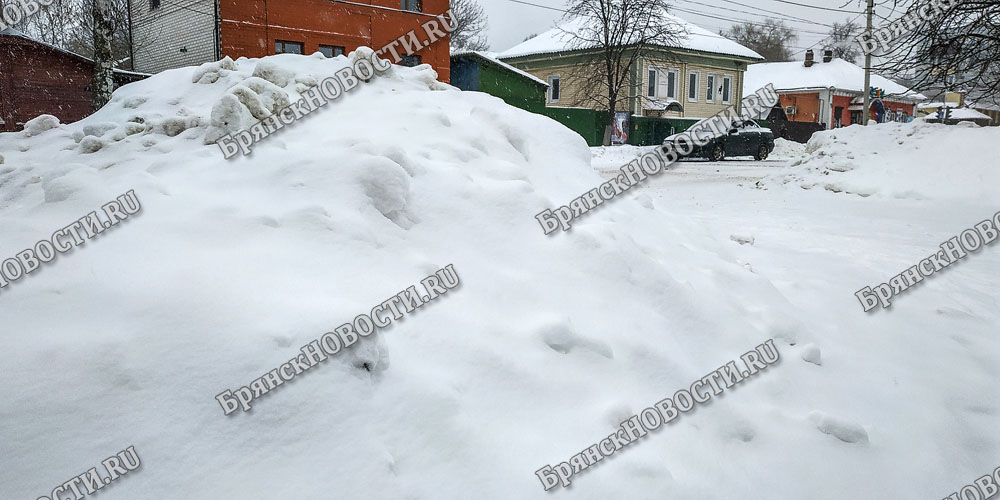 12 февраля на территории Брянской области сильный снег