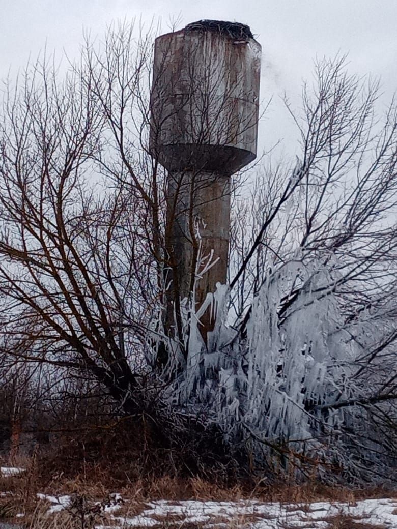Водонапорная башня в селе под Новозыбковом протекла из-за замерзшего датчика