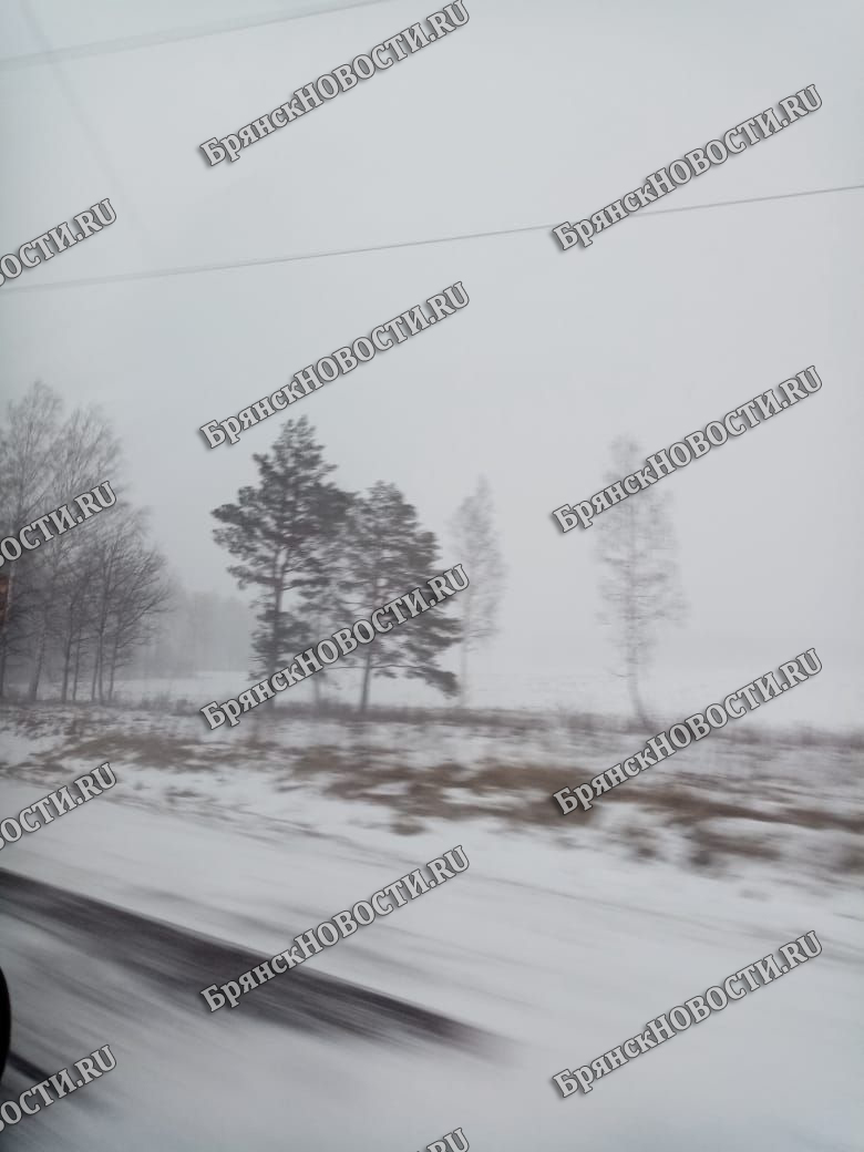 9 марта на территории Брянской области местами небольшой снег