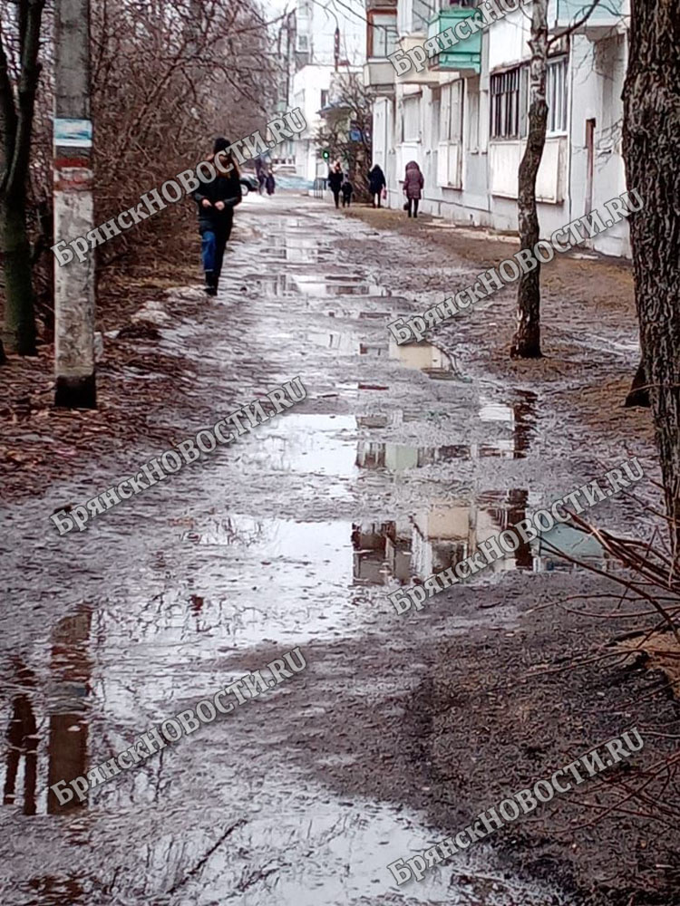 Тротуары в Новозыбкове скрылись под водой