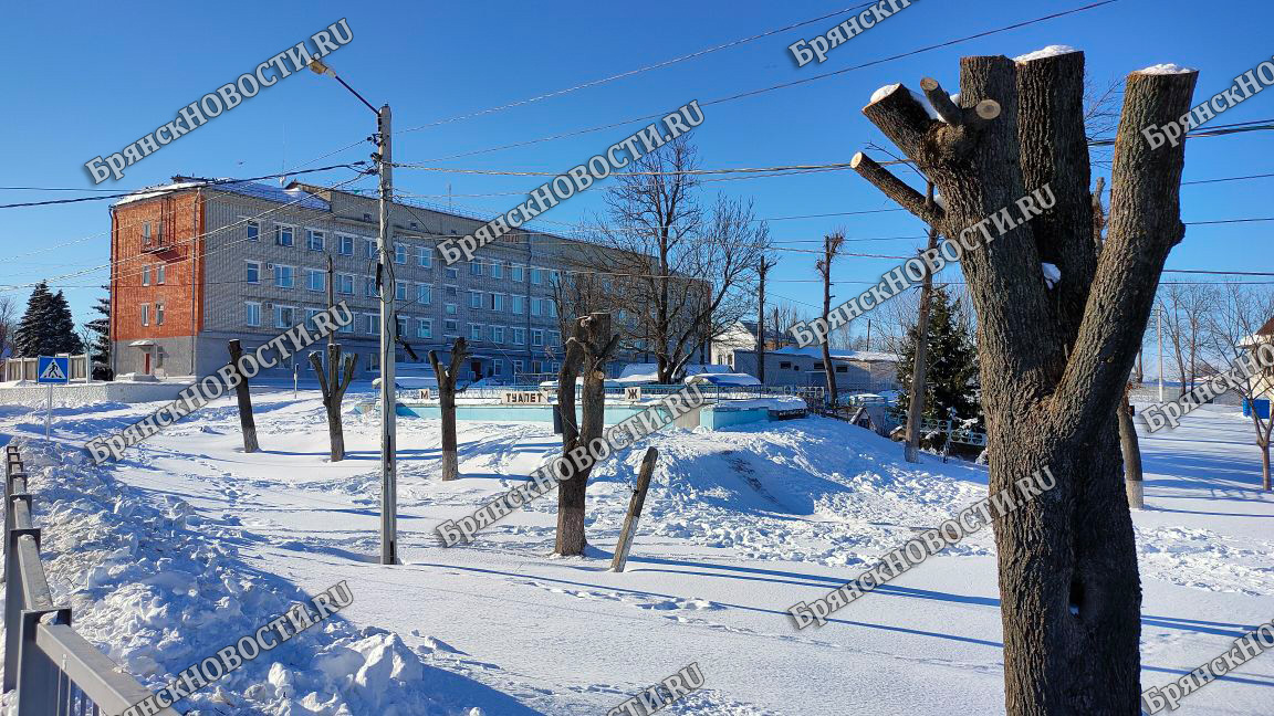 В Новозыбкове вновь заработал сервис по взаимодействию власти и населения