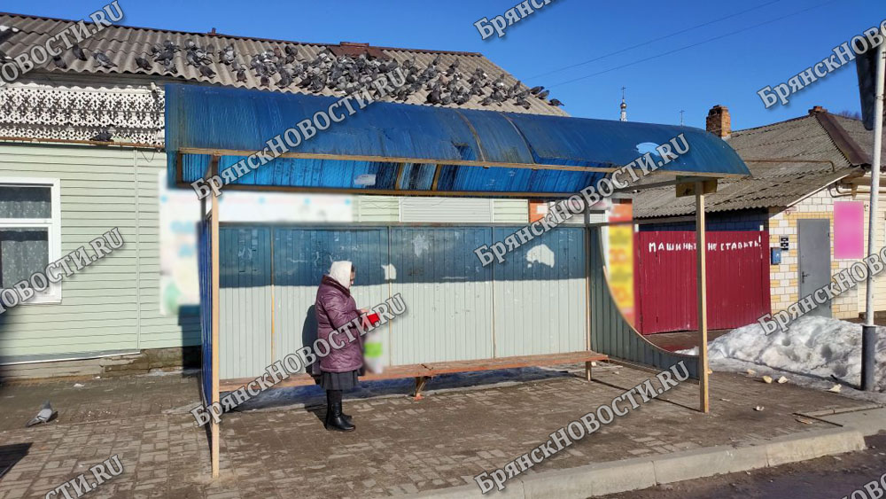 В Новозыбкове продолжается санитарная чистка улиц города, остановочных комплексов