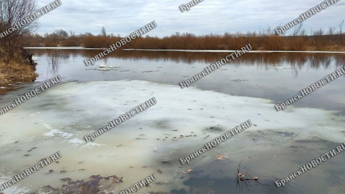 Данные МЧС по толщине льда на озерах и реках Брянской области
