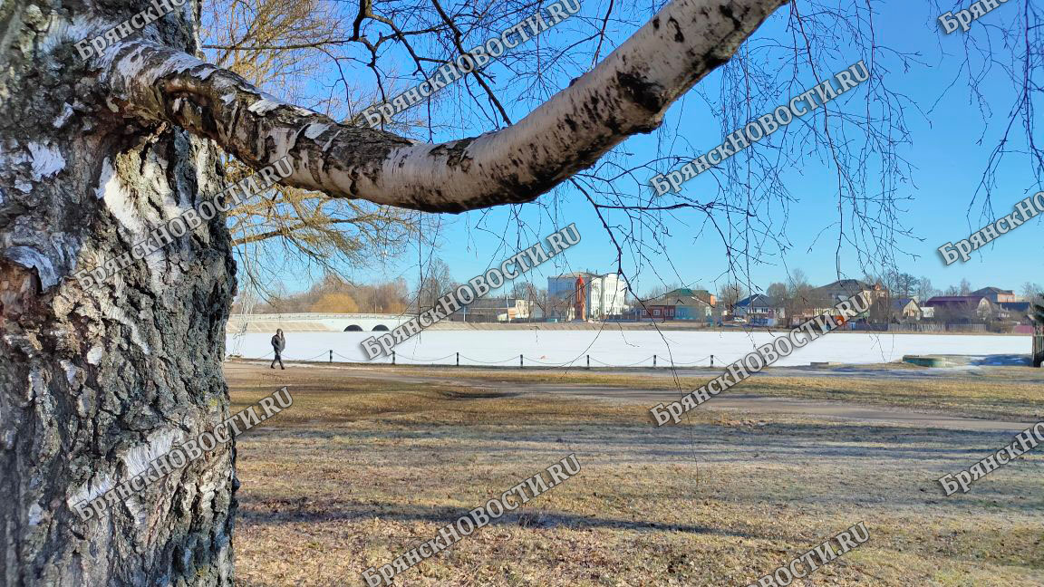 Ближайшую неделю температура будет расти в Брянской области, но синоптики не исключают заморозки