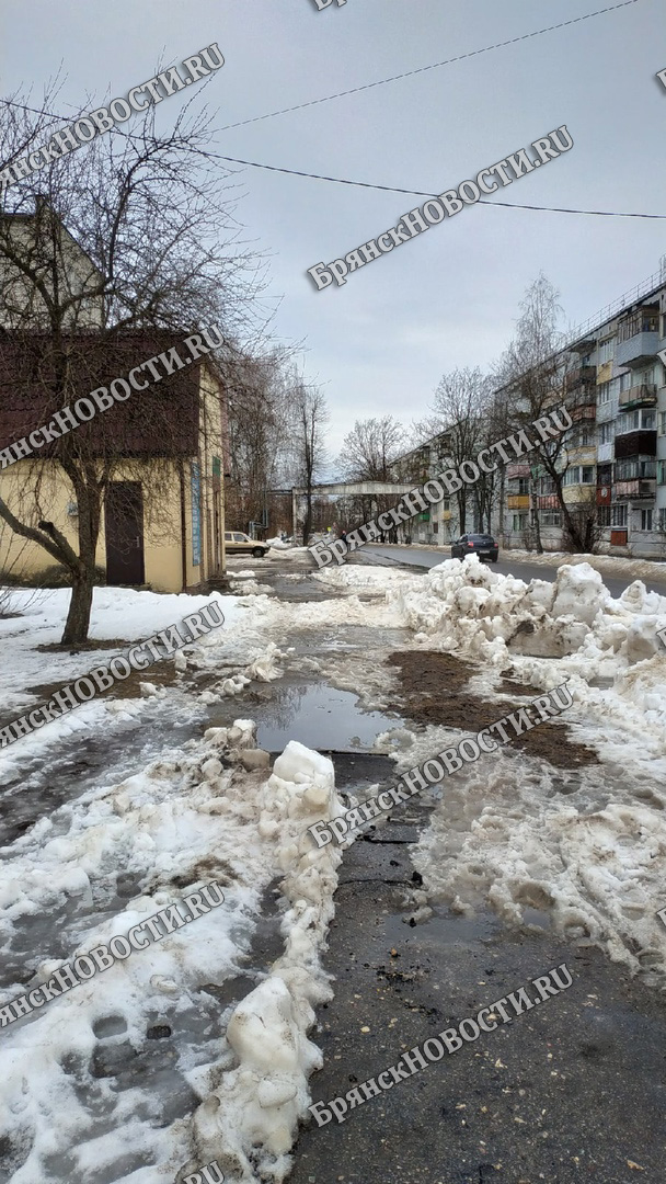 Мамочки из Новозыбкова обратили внимание на непроезжие тротуары